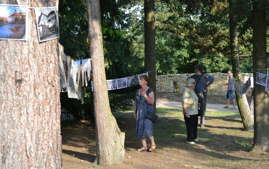 Nákup rostlin pro výsadbu částečně finančně podpořila Lonza Biotec s. r. o. V rámci dalšího projektu pro park PŘÁTELSKÉ SIGNÁLY Z MĚSTSKÉHO PARKU (projekt podpořen firmou TOTAL ČESKÁ REPUBLIKA s.r.o.) byl nakoupen kámen a technickým úsekem města ve střední části parku položen pro vytvoření zpevněné plochy pro tanec a soupravy k sezení.