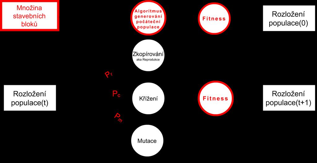 Algoritmus Genetického programování Červeně jsou označeny vstupy GP algoritmu. V prvním kroku Algoritmus generování počáteční populace sestaví ze stavebních bloků populaci v čase 0.