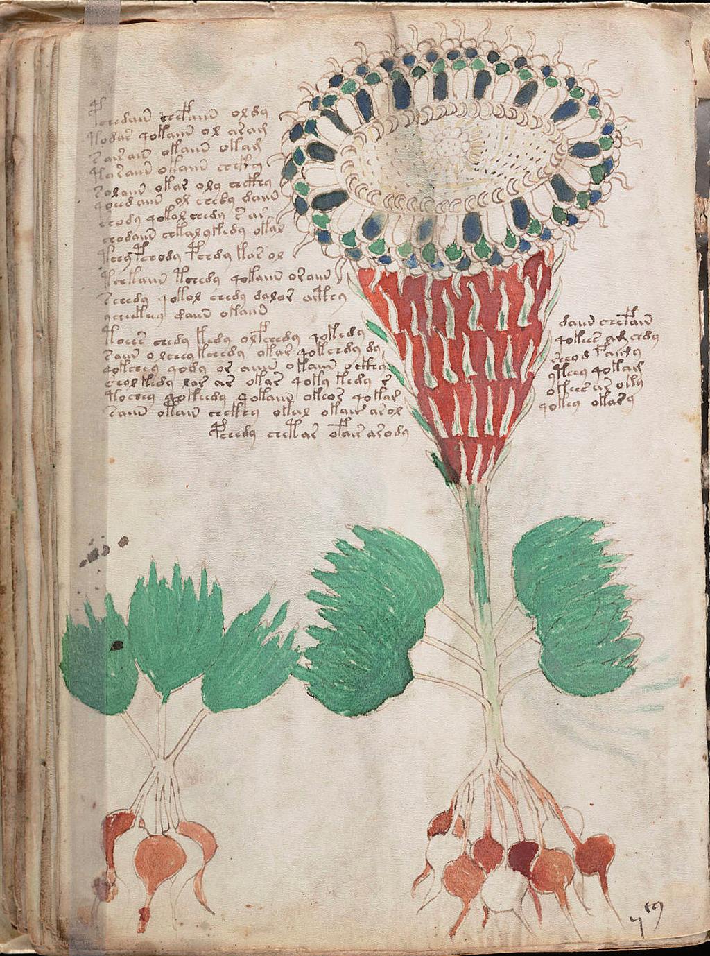 Botanici se marně pokoušejí