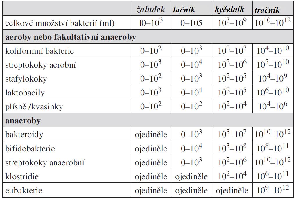 3.5 Mikroflóra zažívacího traktu člověka Díky probiotikům a prebiotikům se začala podrobněji studovat i střevní mikroflóra.