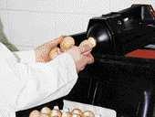individuálním (ručním) prosvěcováním nebo pomocí testu prasknutí a souvisejícími laboratorními testy. V mnoha případech jsou prováděny oba testy.