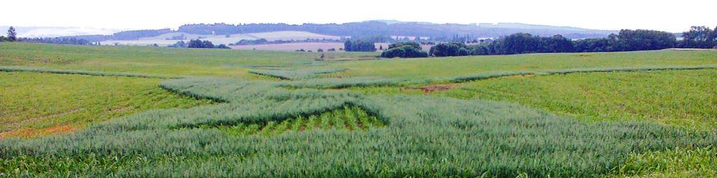 Dobrý zemědělský a environmentální stav stav DZES 5 (pokračování) Půda mírně erozně ohrožená (MEO): erozně