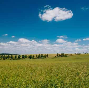 ŘEPKA OZIMÁ LIMAGRAIN ČESKÁ REPUBLIKA ŘEPKA OZIMÁ SYNGENTA CZECH s.r.o.