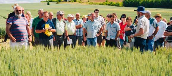 případně Vám poradí pracovníci naší agronomické služby.