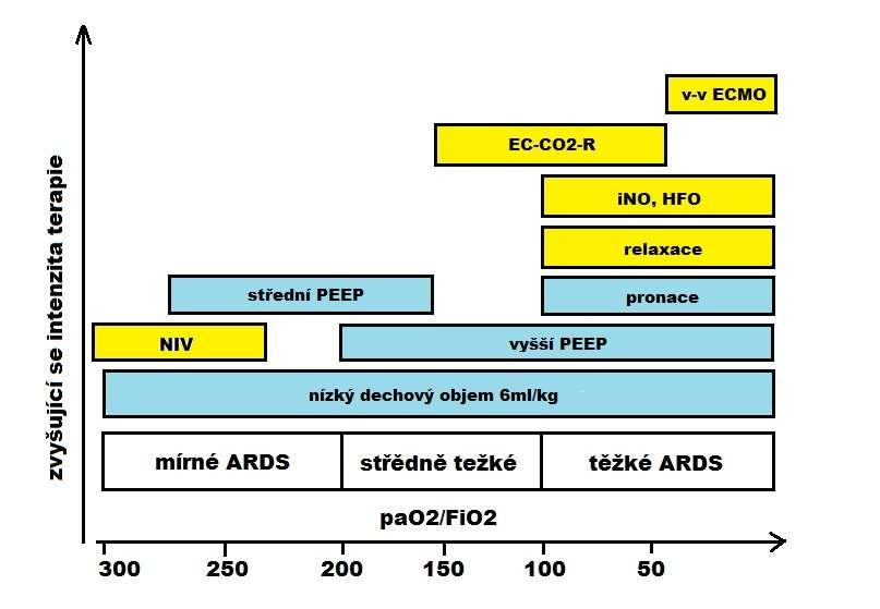 2) terapie plicní dysfunkce - umělá plicní ventilace: koncept otevřené plíce open lung concept tj.