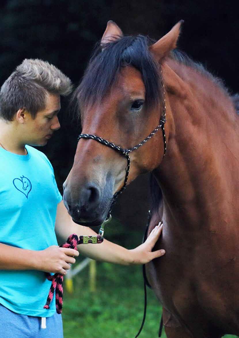 EPONA Kůň