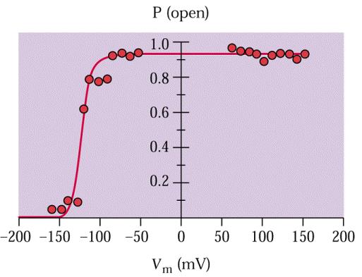 Ca2+ kanály plasmalemy (wheat root