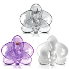 orchidey praskaný sklenený Tyč k