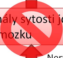 příjmu krmiva Signály sytosti jdou do mozku Mozek Oxidace