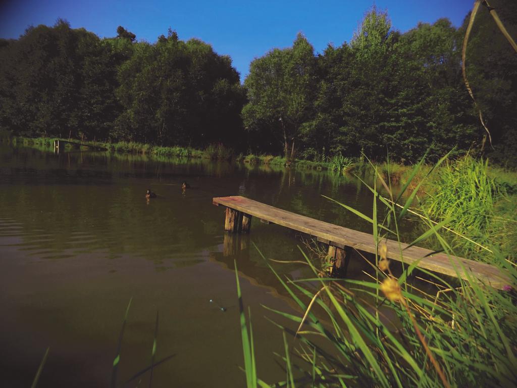 ( hlasů) Zastupitelstvo obce Mostek udělilo i Zvláštní cenu zastupitelů fotografii č., kterou pořídil p. Luboš Krkonoška st.