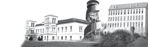 10 region ERNÁ KRONIKA Do Metel za kořistí V blíže nezjištěné době od 12. do 20. března se dosud nezjištěný pachatel vloupal do neobývaného rodinného domu v Otaslavicích.