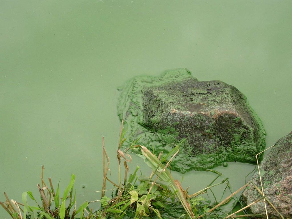 Pomocí FMX technologie se odpadní oleje vyčistí a získá se recyklovaný produkt, jež lze opětovně využít nebo prodat. Obr. 2: Technologie FMX - novinka dodavatele ASIO, spol. s r.o. 3.