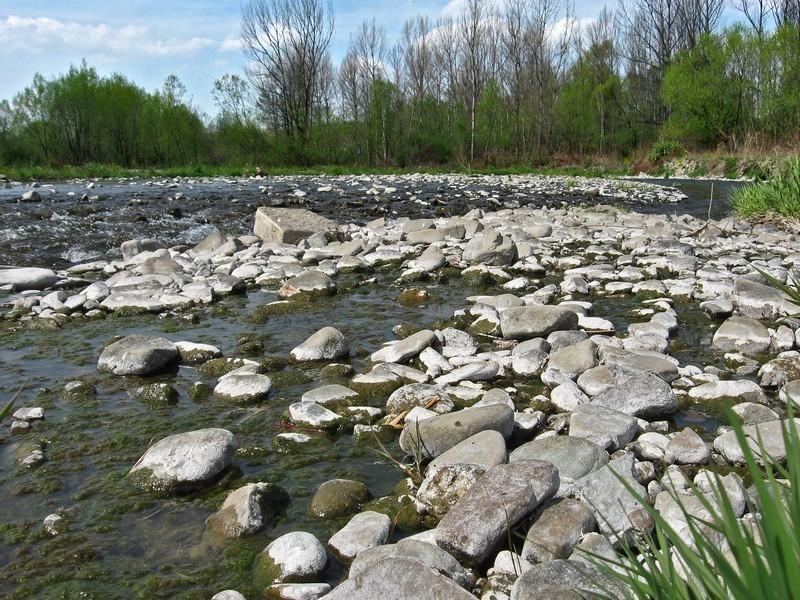 Dále se tam vyskytují náplavy a štěrkové lavice, které se za povodňových stavů často mění. S tím souvisí i výskyt menších vedlejších koryt a ramen, která protékají v blízkosti hlavního toku.
