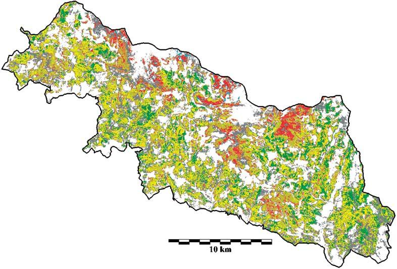 Příloha 27: Poškození lesních porostů v Krkonoších v roce 1994 vyhodnocené na podkladě