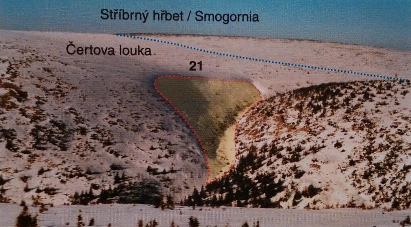 Vegetace zadržuje navátý sníh a snižuje jeho usazování na lavinovém svahu. Díky tomu laviny padají jednou za 5 10 let. Obrázek 16: Detailnější pohled na dráhu č. 21 (Spusta et. al.