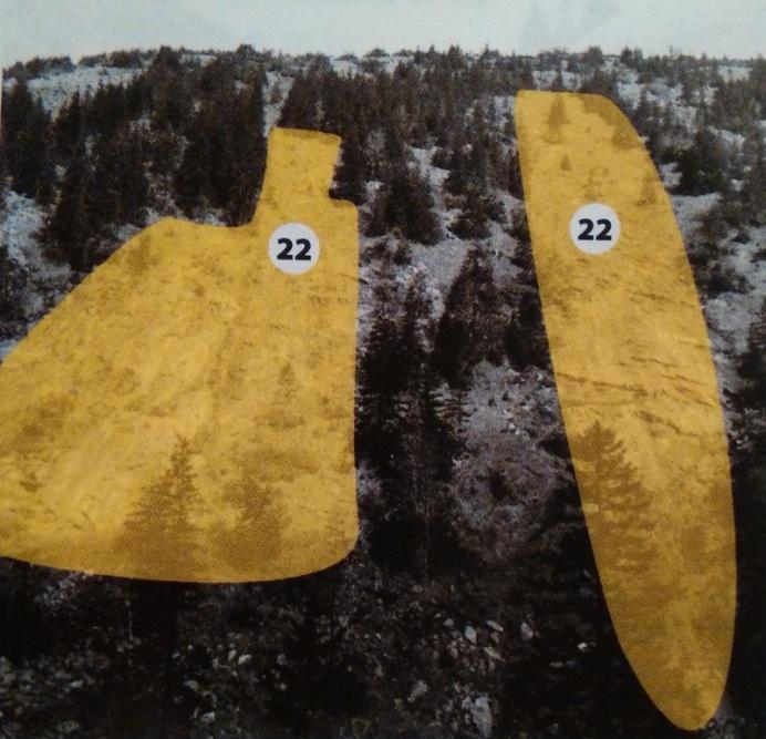Obrázek 17: Detailnější pohled na dráhu č. 22 (Kociánová et. al., 2013) Čertova jáma č. 23 Na úbočí Malého Šišáku se nachází lavinová dráha.