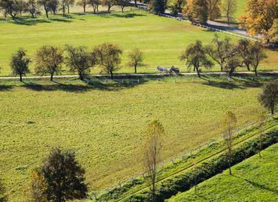 Přírodně krajinářský park Mošnice.