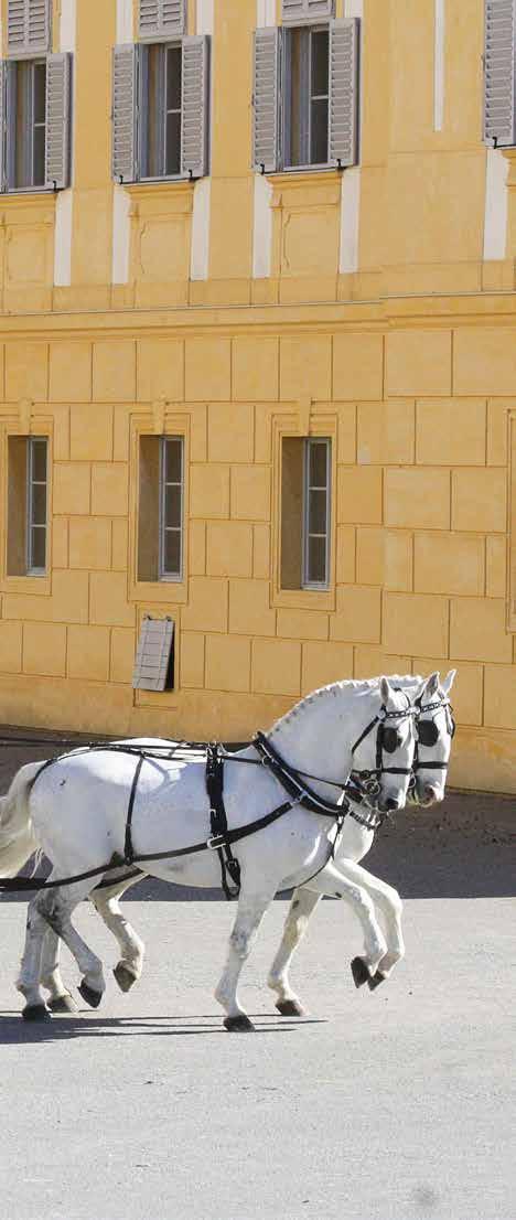 Vystoupení a prezentace starokladrubských koní v České republice a v zahraničí MEZINÁRODNÍ KONGRES HORSE IN SPORTS 2017 (RAKOUSKO) Národní hřebčín Kladruby nad Labem se ve dnech 3. 5.