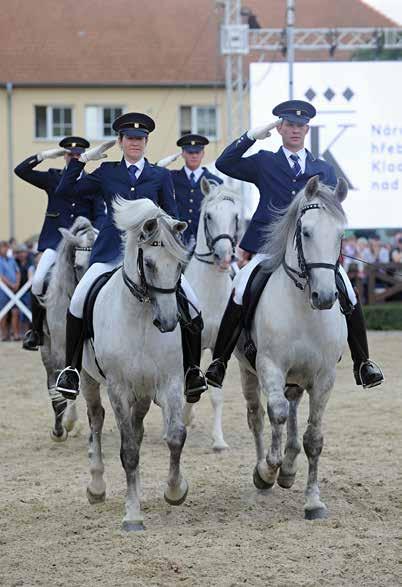 Vystoupení a prezentace starokladrubských koní v České republice a v zahraničí místopředseda vlády Pavel Bělobrádek a hejtman Královéhradeckého kraje Jiří Štěpán.