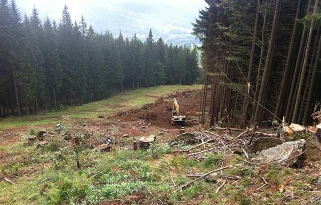 kůrovec) eroze půdy na odlesněných svazích, menší retence změny v krajinném rázu, mikroklimatu, fragmentace habitatů vliv večerního osvětlování