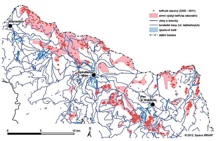 Tetřívek pokles populace během 40 let o 90 % preferují přirozené bezlesí rašelinišť - plošně odvodňováno a zarůstá (např.