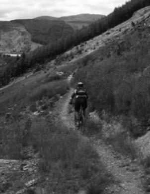 napadení medvědy u cyklistůčastější cyklista si nevšímá okolí, rychle zmenší útěkovou vzdálenost Management: erozní účinek srovnatelný s pěšími (např.