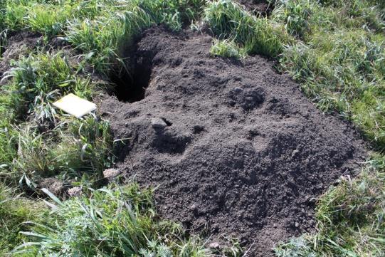 vysoká rychlost úbytku nyní vzácný = vliv jen lokálně přehlednost