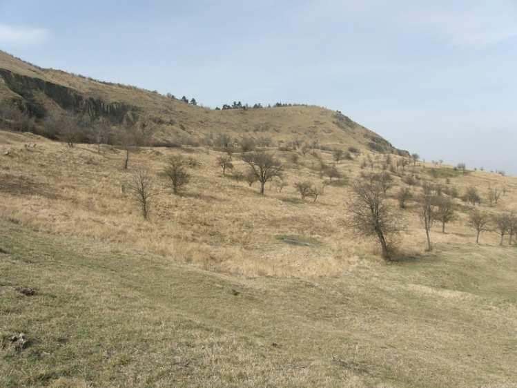 letiště, golf.