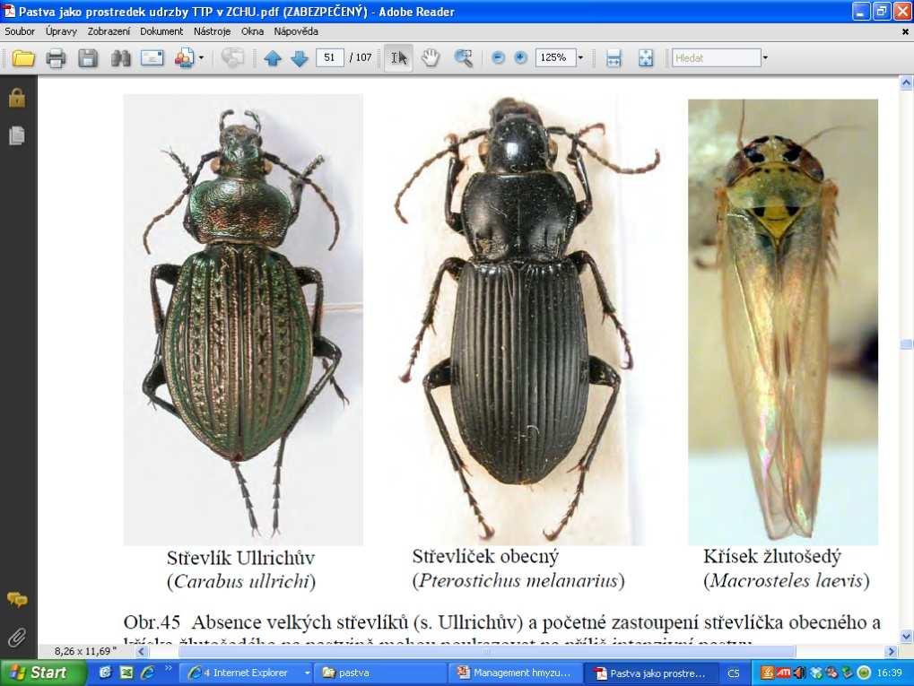 znečištění - oplotit prameniště zničení cenného biotopu (skot)