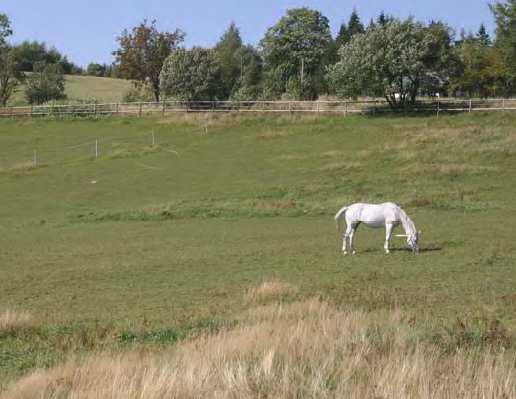 ovladatelný (el.