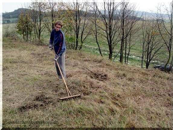 síťokřídlí potravní zdroj dřevo (čerstvé i odumřelé) - xylofágové krasci, tesaříci atd.
