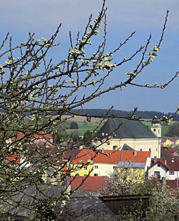 BŘEZEN/DUBEN 13. týden DUBEN 14.