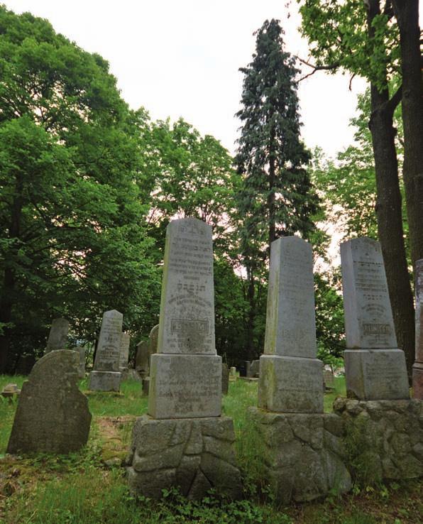 ZÁŘÍ 39. týden ŘÍJEN 40.