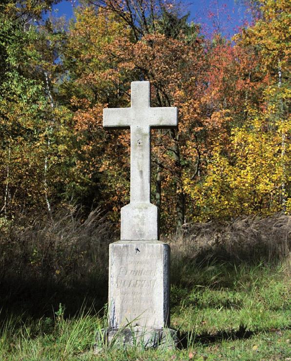 LISTOPAD 45. týden LISTOPAD 46.