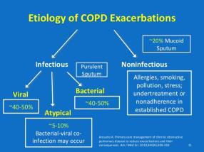Etiologie exacerbací CHOPN Infekční hnisavé sputum 80 % Neinfekční mukoidní sputum 20 % Bakteriální 40-50 % Atypické 5-10