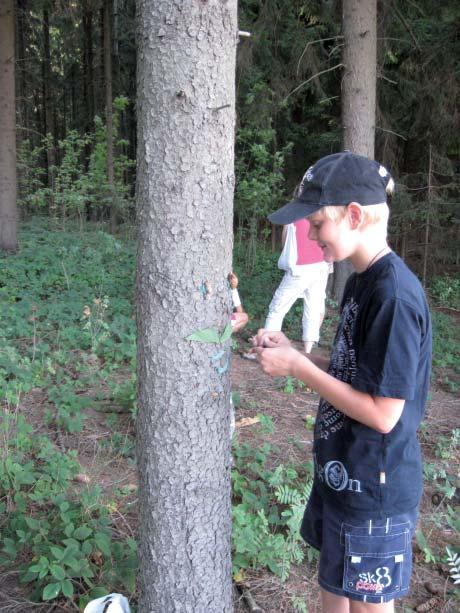 ENVIRONMENTÁLNÍ VÝCHOVA V NÁRODNÍM PARKU A CHRÁNĚNÉ KRAJINNÉ OBLASTI ŠUMAVA VYDRÝSKOVO KRÁLOVSTVÍ Venkovní i vnitřní program Kdy: venkovní květen červen vnitřní září - duben Délka programu: venkovní