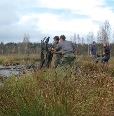 NÁRODNÍ PARK ŠUMAVA JE TOU NEJLEPŠÍ UČEBNOU POD ŠIRÝM NEBEM STEZKA DO KORUN STROMŮ Kdy: září říjen, duben červen Pojďme společně nahlédnout do korun stromů smíšeného lesa