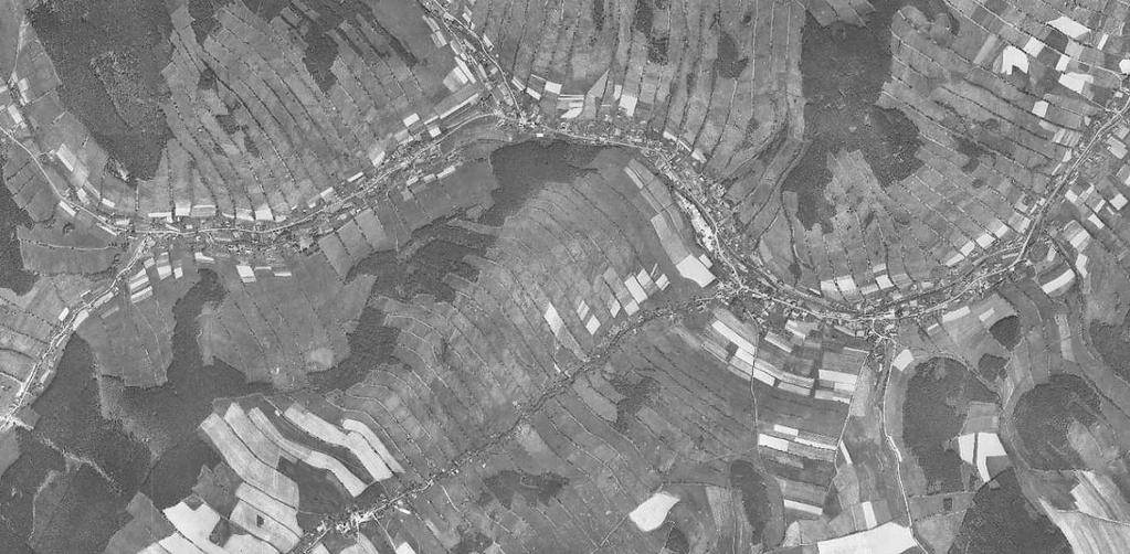 Holčovicko 1955 zarůstání plužiny lesem přirozená sukcese cílené