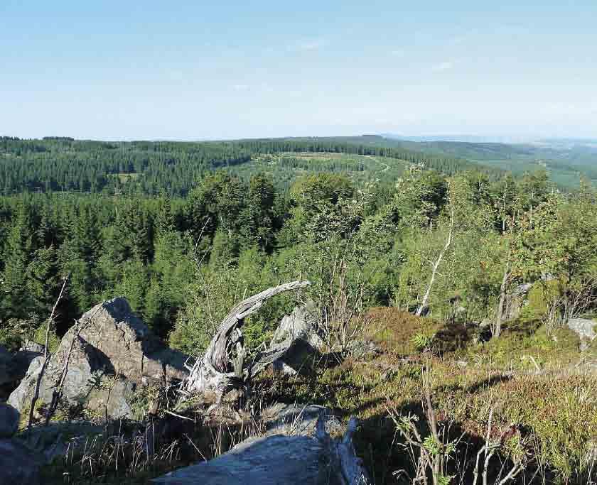 Nejsnazší přístup na vrchol je z lyžařské trasy nebo cyklotrasy, která propojuje rozcestí pod Meluzínou s Pytláckou roklí.