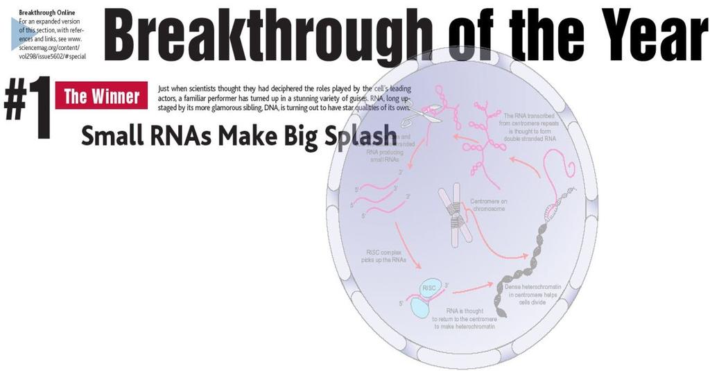 genové umlčování TGS (transcriptional gene silencing) nedochází k transkripci transgenu může jí předcházet transkripce promotorové sekvence a následná inhibice promoteru