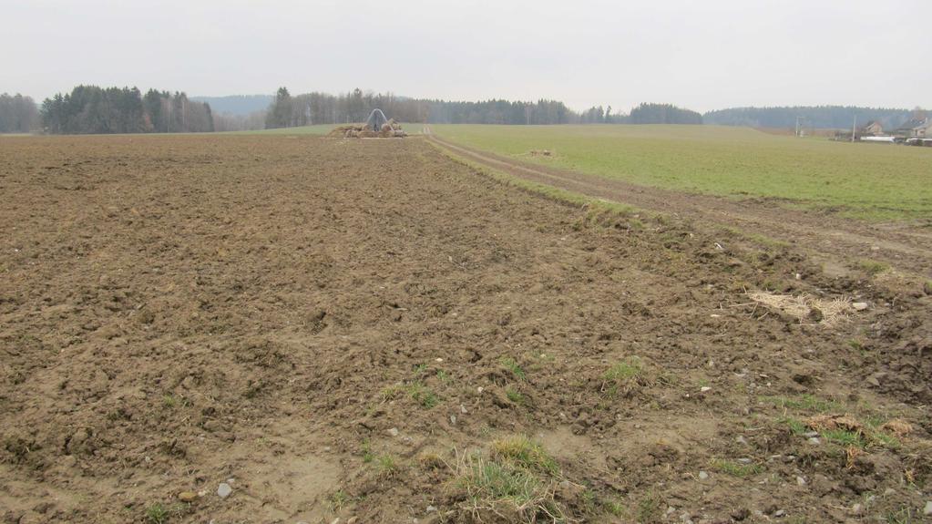 Farma skotu Bezděkov H.