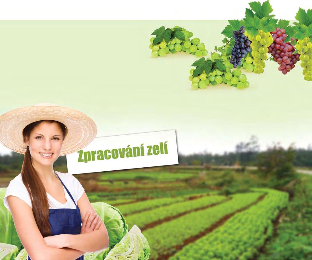 26,30 teploměr zavařovací pouzdro na teploměr 42 cm o.