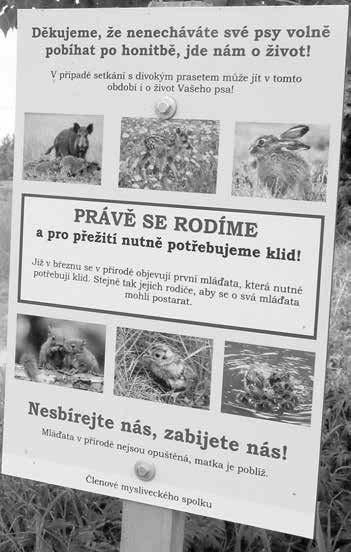 Zbraněk, předseda staroměstských myslivců. Období líhnutí mláďat Ve Starém Městě upozorňují majitele psů speciální značky. Co si o tom myslíte? redakce@ddk.cz zrovna začíná.