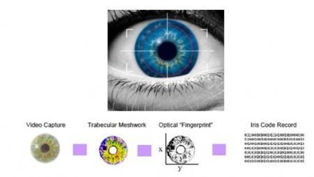 postavení s jinými takto charakteristickými útvary. Rozdíly jsou už na první pohled i bez použití jakékoliv techniky viditelné v barvě oční duhovky.