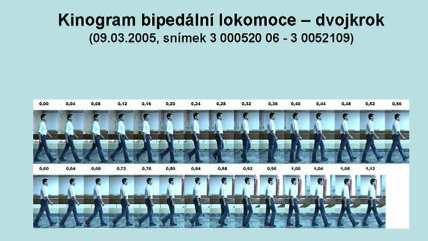 UTB ve Zlíně, Fakulta aplikované informatiky 60 5.1 Kinogram Definice kinogramu je série snímků zachycující tentýž objekt v jednotlivých fázích, jinými slovy rozfázování pohybu.