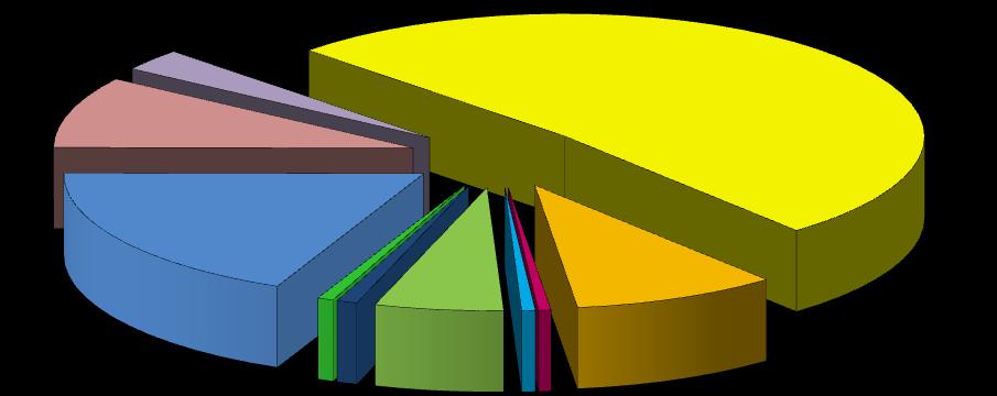 3.2. Výdaje rozpočtu 2010 Celkové výdaje upraveného rozpočtu města v roce 2010 činí 1 744 mil. Kč. Běžné výdaje tvoří přes 48 % celkových výdajů, kapitálové pak téměř 52 %.