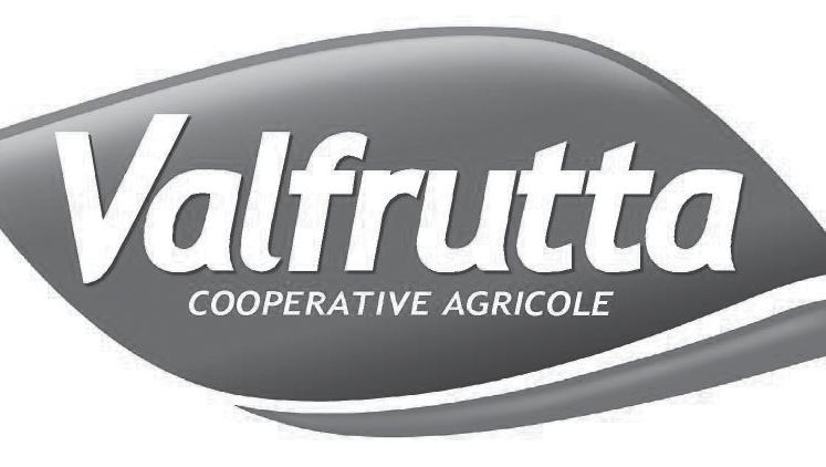 s RAJČATA ZPRACOVANÁ V DEN SKLIZNĚ POTRAVINY Vysoká kvalita produktů Valfrutta spočívá v důkladné kontrole pěstitelských a zpracovatelských postupů, počínaje osivem, konče hotovým výrobkem.