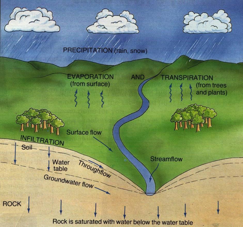 Význam půdy v hydrologickém cyklu EN-CZ slovník velmi základních pojmů: soil půda rock hornina precipitation srážky evaporation (from surface) výpar (z povrchu) transpiration (from trees and plants)