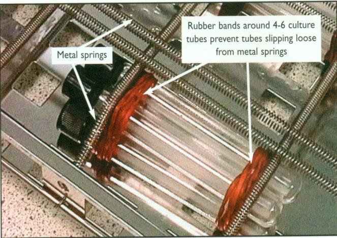 ml amyloglukosidasy. Vniklá suspenze se nechá 5 minut míchat na laboratorní třepačce. Poté se odstředí 10 minut při 3000 rpm. (tento se musí připravovat každý den čerstvý). 5.1.3 Přidejte 4 ml roztoku připraveného podle bodu 5.