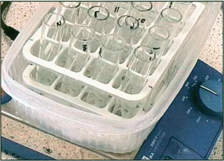 5.3. Stanovení rezistentního škrobu 5.3.1 Zkumavky obsahující sediment zbylý po odstranění supernatantu (viz bod 5.2.5) umístěte do ledové vodní lázně, která stojí na magnetické míchačce (viz obr. 4).